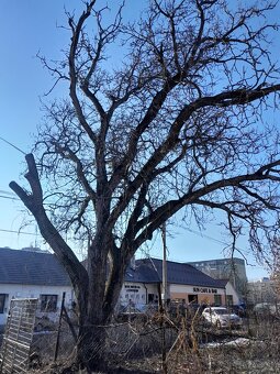 Pilčícke Práce - 3