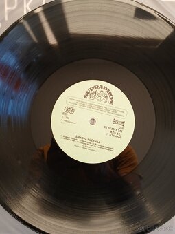 Rebels – Šípková Růženka - 3