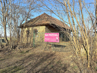 PINKREAL-na predaj, veľký, slnečný pozemok so starým domom - 3