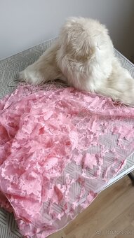 Šatky, šále, čiapky - 3