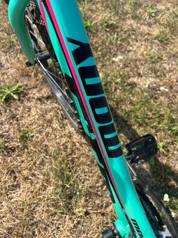 Detský bicykel CTM Mony 24” - 3