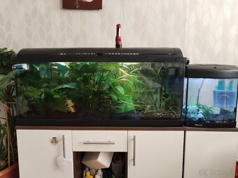 Predám zabehnute akvárium - 3