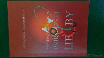 Slovenská kuchádska kniha - 3