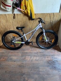 Specialized 24 - 3