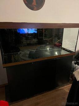 Akvárium - 3