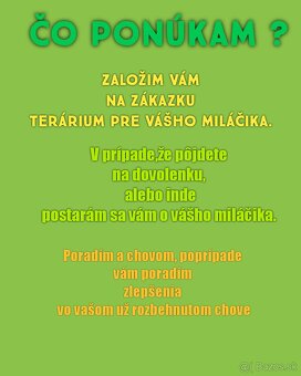 Stráženie malých exotických zvierat - 3
