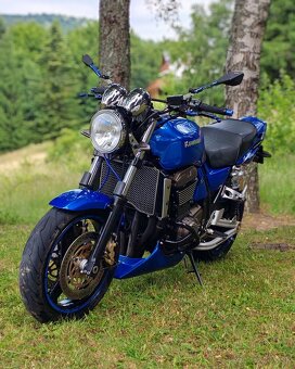 Kawasaki ZRX 1200 S - 3