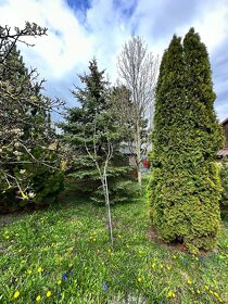 Zľava Chata so záhradou Hájky, výmena - 3