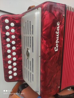 Heligonka Delicia Popular - 3