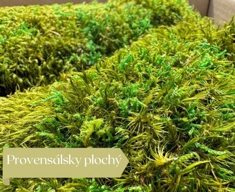 Stabilizovaný mach - 3