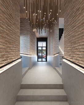 PRENÁJOM- PRIESTORY NITRA VILA NA ČÍNEŠI CENTRUM - 3