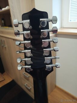 12 strunova gitara Takamine - 3