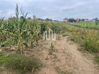 Veľký slnečný pozemok na rodinný dom aj záhradu 3000m2, Kapi - 3