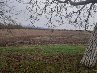 Stavebný pozemok v Hrušovanoch /TO za dobrú cenu - 3