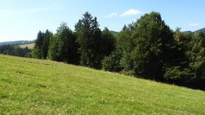 Pozemok na predaj 5 eur m2 Ski Park Desna - 3