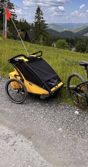 Thule Charliot Sport 2 - 3