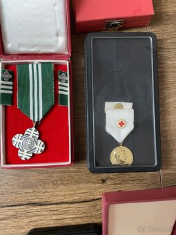 Vojenske odznaky (UNPROFOR) - 3