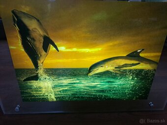 Obraz delfìny so svetlom - 3