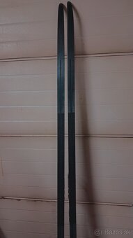 Lyže - bežecké, šupinové - 3