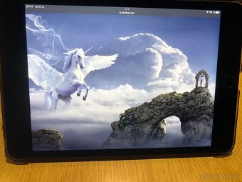 iPad Mini 5 Gen. s infra kamerou Seek Thermal - 3