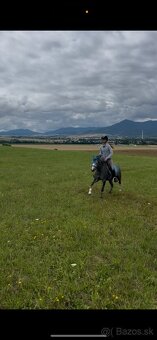Pony kobylka s úžasnou povahou - 3