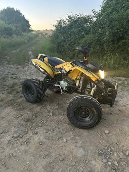 Bashan 200 - 3