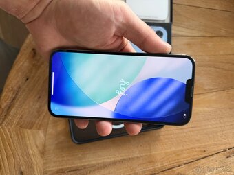 iPhone 13 Pro Max 256 GB – Sierra Blue - 3