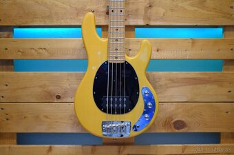 Sterling Ray 25 Classic - 3