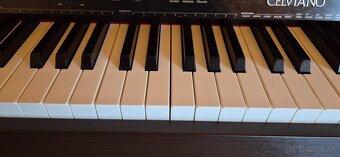 Casio Celvianio AP 450 - 3