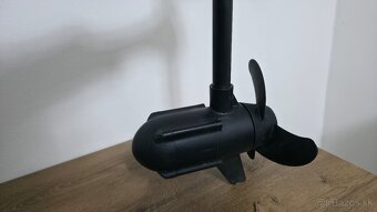 Haswing 65 LB 12V Elektromotor - 3