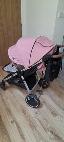 Petite mars royal - 3