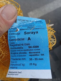 Sadbove zemiaky - 3