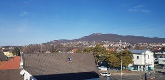 Prenajmem v Nitre na Levickej ulici 3 kancelárske priestory. - 3