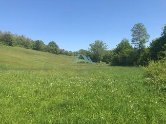 Pekný pozemok (3,2ha) na Hrušove okres Veľký Krtíš. - 3