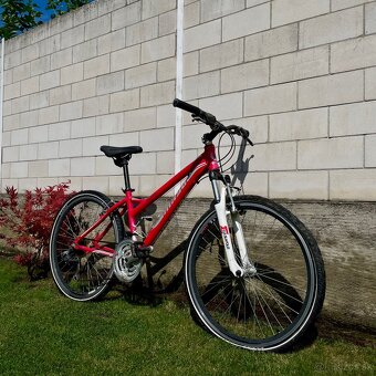 Mayo XC Basic V - 3