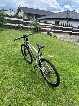 CTM REIN 2.0 29" - 3