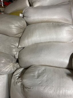 Jačmen jarny 2025 - 3