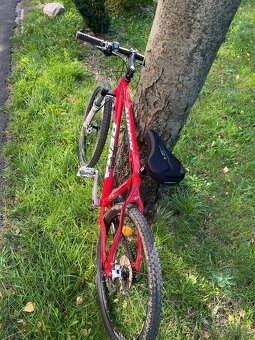 Bicykel Dema Auron - 3