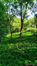 Pozemky v katastri Stará Myjava-len u nás v ponuke - 3