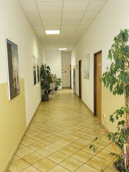 PRENAJOM KANCELARIA/ BRATISLAVA-VRAKUŇA - 3