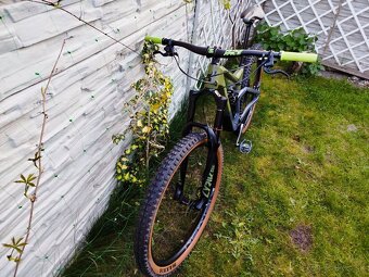 CUBE STEREO 150 C:62 RACE 2 - 3