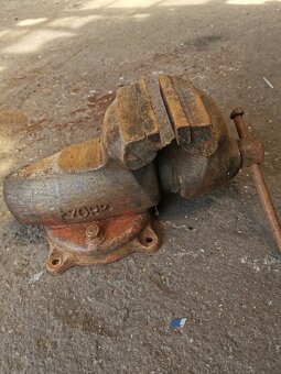 Zverak York 125 - 3