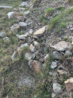 Darujem okrasné kamene - 3