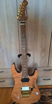 Harley Benton Fusion-III HH FR Roasted FNT - 3