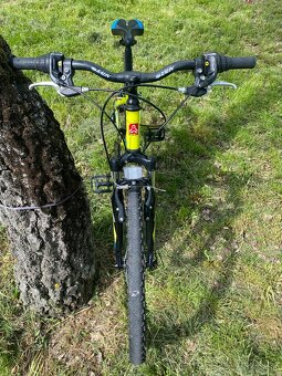 Bicykel Ctm Berry 2.0 - 3