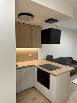Prenajmem plne zariadený, nový, útulný, 1.izb. byt - 3