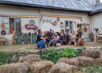 Leonberger s PP - 3