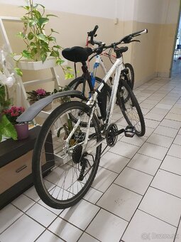 Bicykel Kellys Clif 50 28 palcov - 3