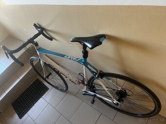 FOCUS Cayo XL - 3