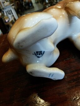 pes royal dux - 3
